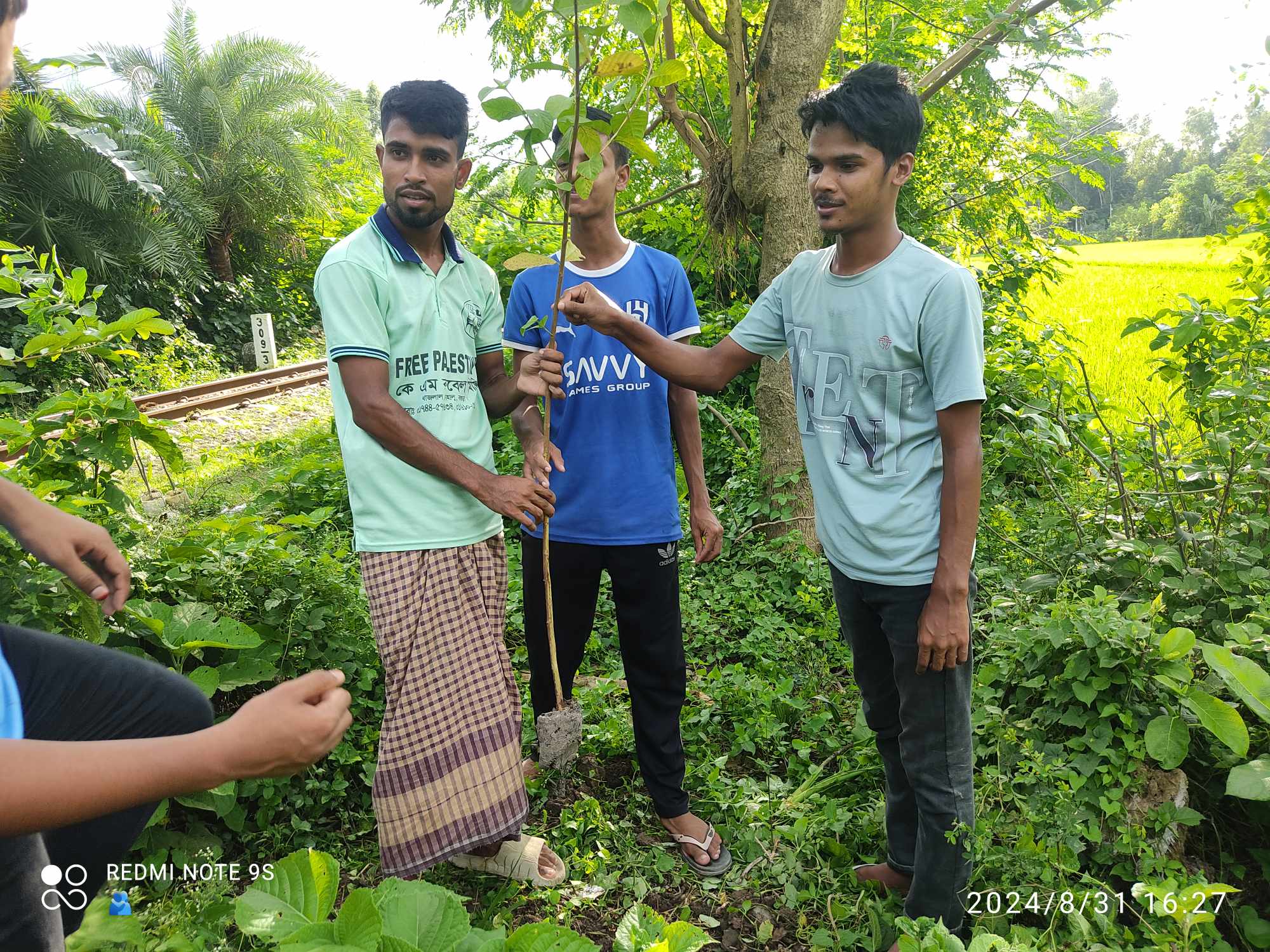 Growing a Greener Kahalu Through Tree Plantation